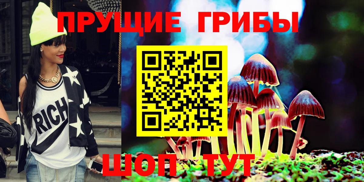 Псилоцибиновые грибы мицелий Сланцы
